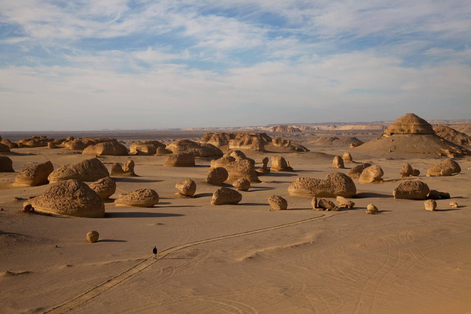 Wadi Al-Hitan – UNESCO World Heritage Site